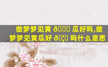 做梦梦见黄 🐝 瓜好吗,做梦梦见黄瓜好 🦁 吗什么意思